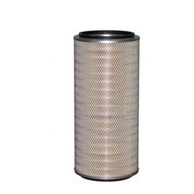 AF25544 AF25545 Filtro d'aria per motori di trattori P619372 P607224 Altro anno
