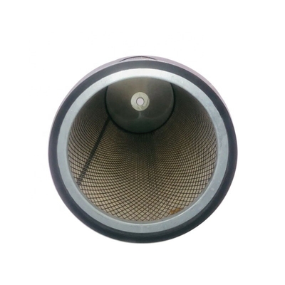 AF25544 AF25545 Filtro d'aria per motori di trattori P619372 P607224 Altro anno