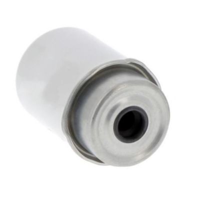 Elemento di filtro del carburante P551434 5198956 320A7124 RE526319 12750603 per camion FS551434