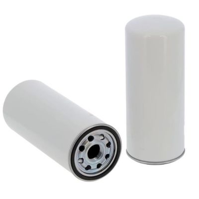 Filtro di carburante P554000 per parti di motori di autocarri FF5633 51125030071 40203136 330510035 SN 70298