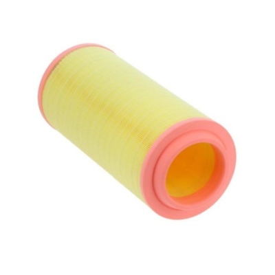 Filtro d'aria P782105 2456375 32925284 24424482 AF782105 118606 per parti di motori di camion