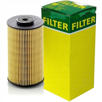 Filtro del carburante ad alimentazione diretta P811 P550861 3I1212 65125035004 7238513 122209 per escavatore