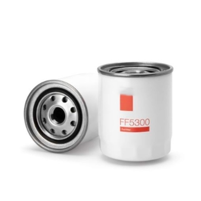 Elemento di filtro del carburante FF5300 33394 6050134 BF1110 P502143 con prestazioni superiori