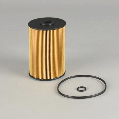 Altri accessori per autoveicoli EF-1301 Filtro del carburante FF5733 B222100000701 EF-1301